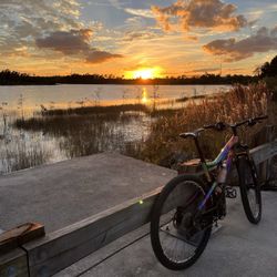 Carbon Santa Cruz, Tall Boy, Large