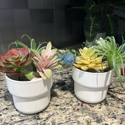 4” Plastic Pots With Plants