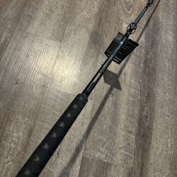 Shimano Teramar  7’ Hvy New Salt Water Fishing Rod. 