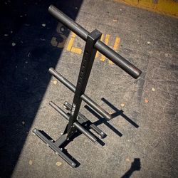 Rogue Fitness Plate Tree for Weight Bumper