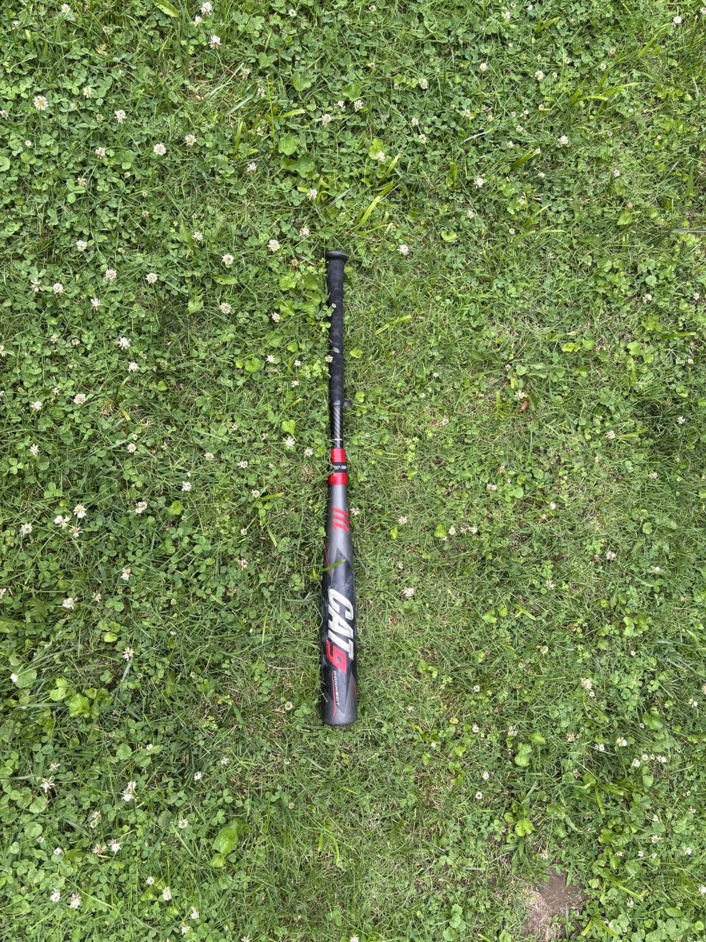 Baseball Bat 