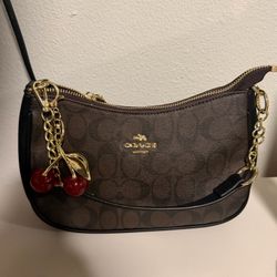 Brown coach purse