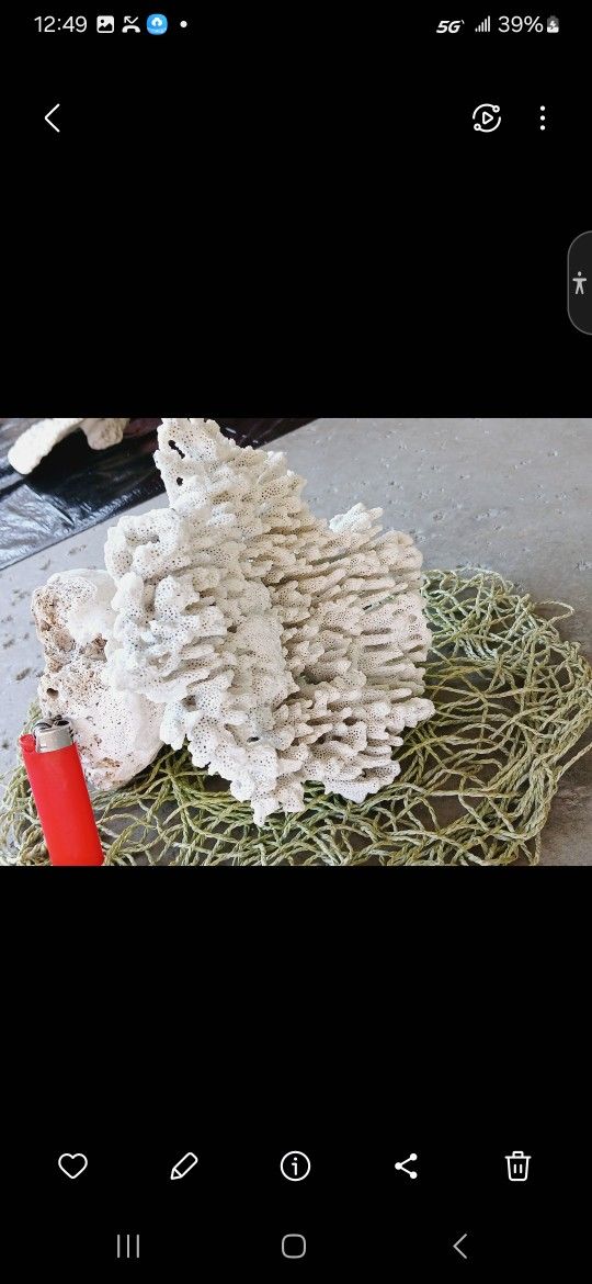 LARGE WHITE CORAL TREE DECOR