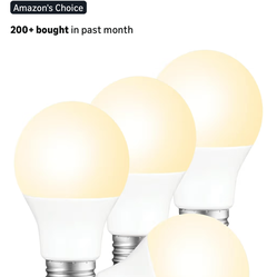 A19 led bulbs