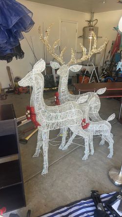 Deer family