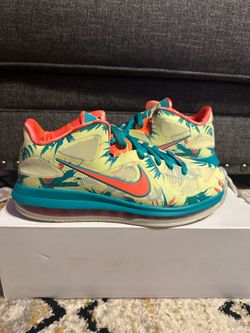 Brand New Nike lebron 9 low Palmer Size 9.5 with Box