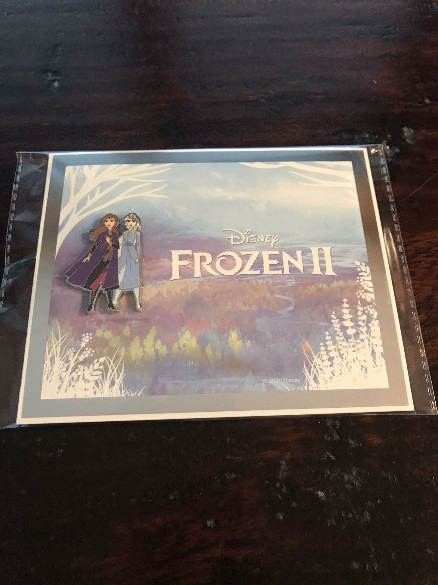 New Disney ‘s Frozen 2 DMC Limited Edition Pin & Certificate