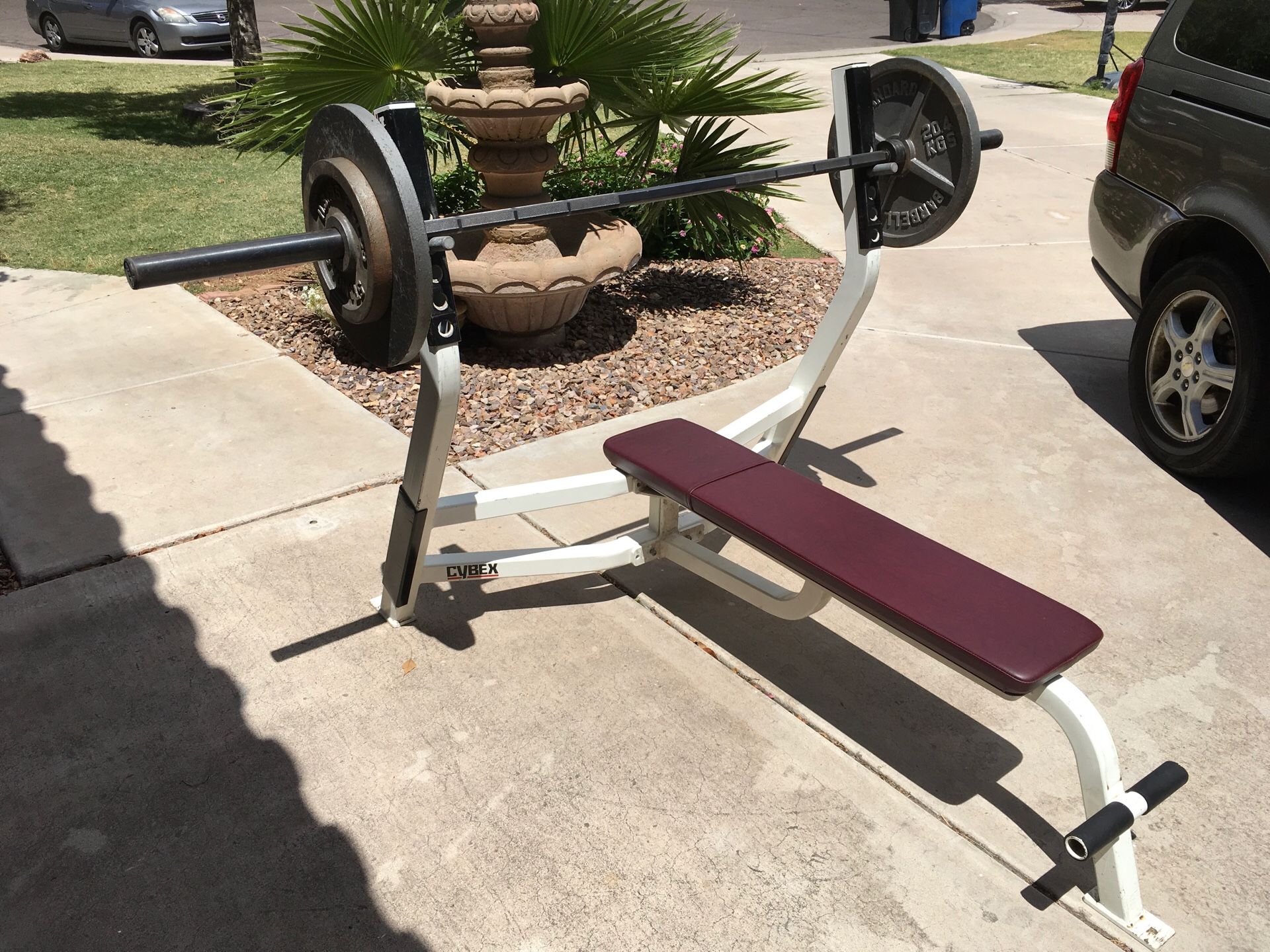 Cybex Olympic Weight Bench Press