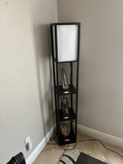 Floor Lamp with Fossils