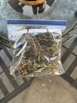 OREGANO