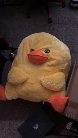 Huge duck, free