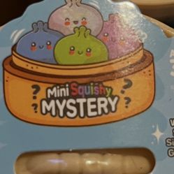 Mini Squishy Mystery  (NEW)