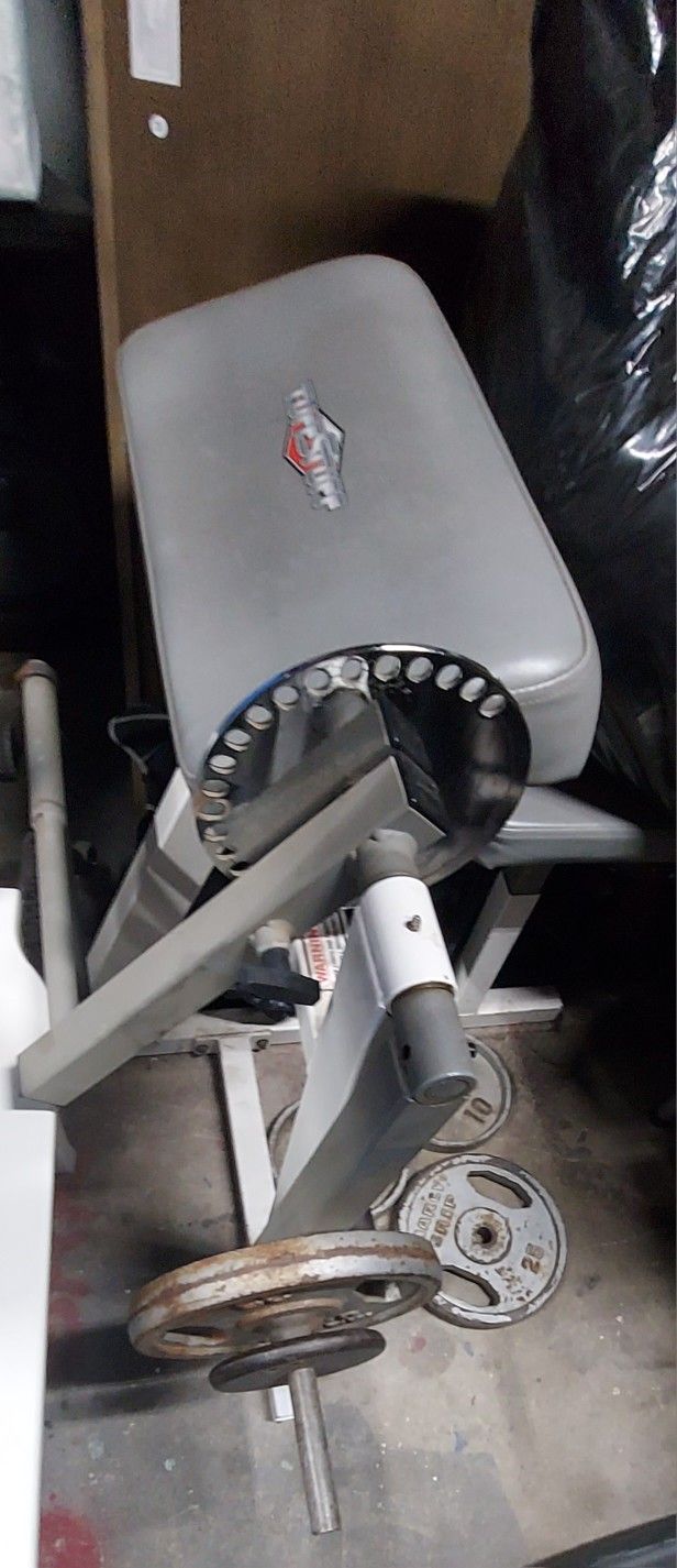Used Preacher Curl Machine For 1" Hole Weights