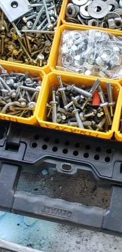 Dewalt Storage Box