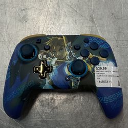 Nintendo Switch Controller 