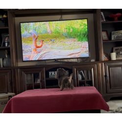 Samsung 50” TV 