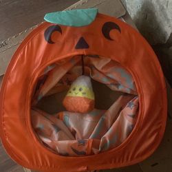 Halloween cat tunnel