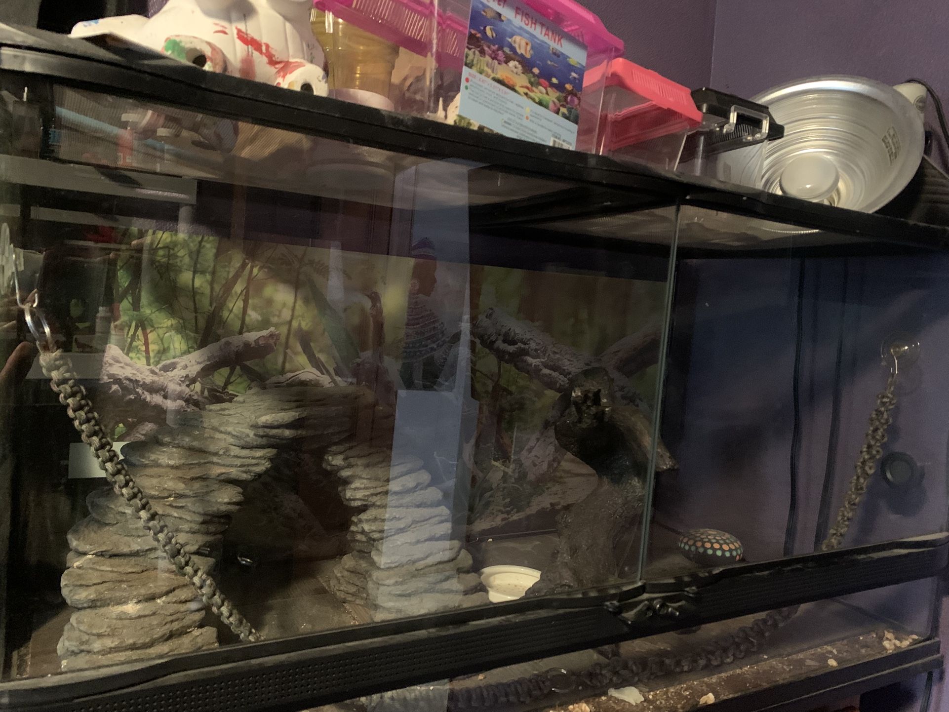 40 Gallon Terrarium