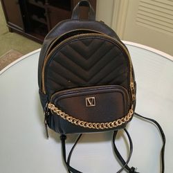 Victoria Secret Back Pack