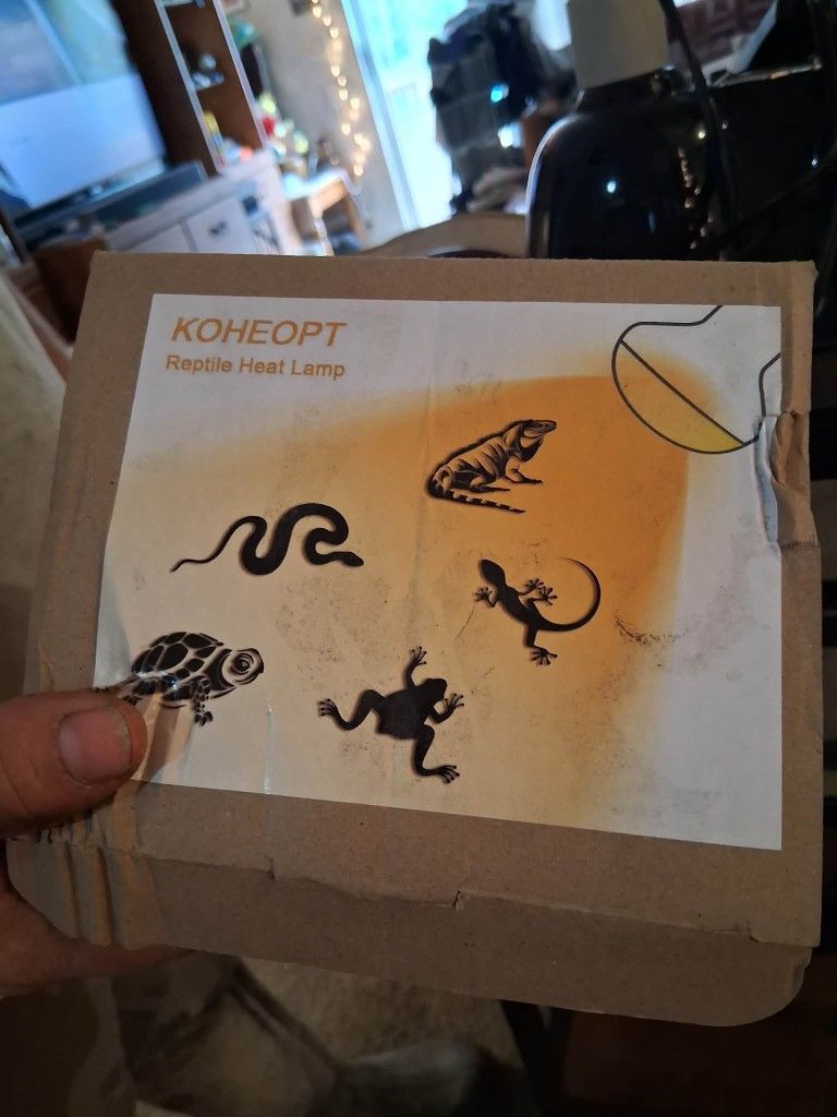 40gl Tank With Stand And Light