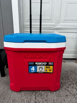 Igloo Cooler