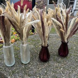 Dried Pampas Grass & Other Grasses 