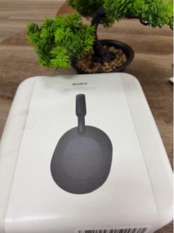 Sony Head phones Brand New