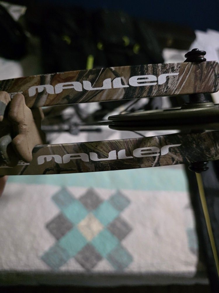 Left Handed Bear Bow