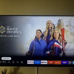 60 Inch Vizio TV. (with wall mount)