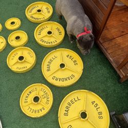 Standard Barbell Weight Plates With Bars 