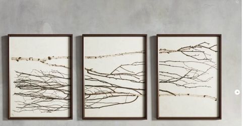 Arhaus art Photo triptych framed art