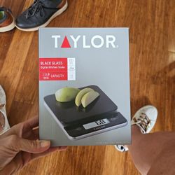 Taylor Kitchen SCALE