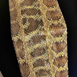 Genuine Diamondback Rattlesnake Wallet — $120