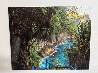 Beautiful Tropical Photograph Wall Decoration