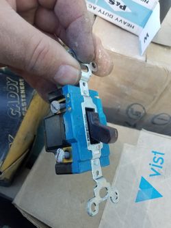 2 pole switches heavy duty