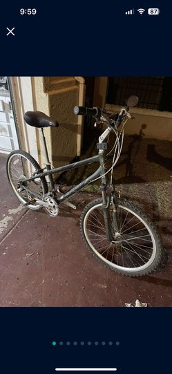 Cruiser/Mountain Bike