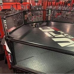 UFC Octagon 