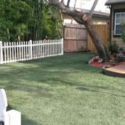 Fake Grass R Olls 