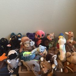 TY Beanie Baby Collection