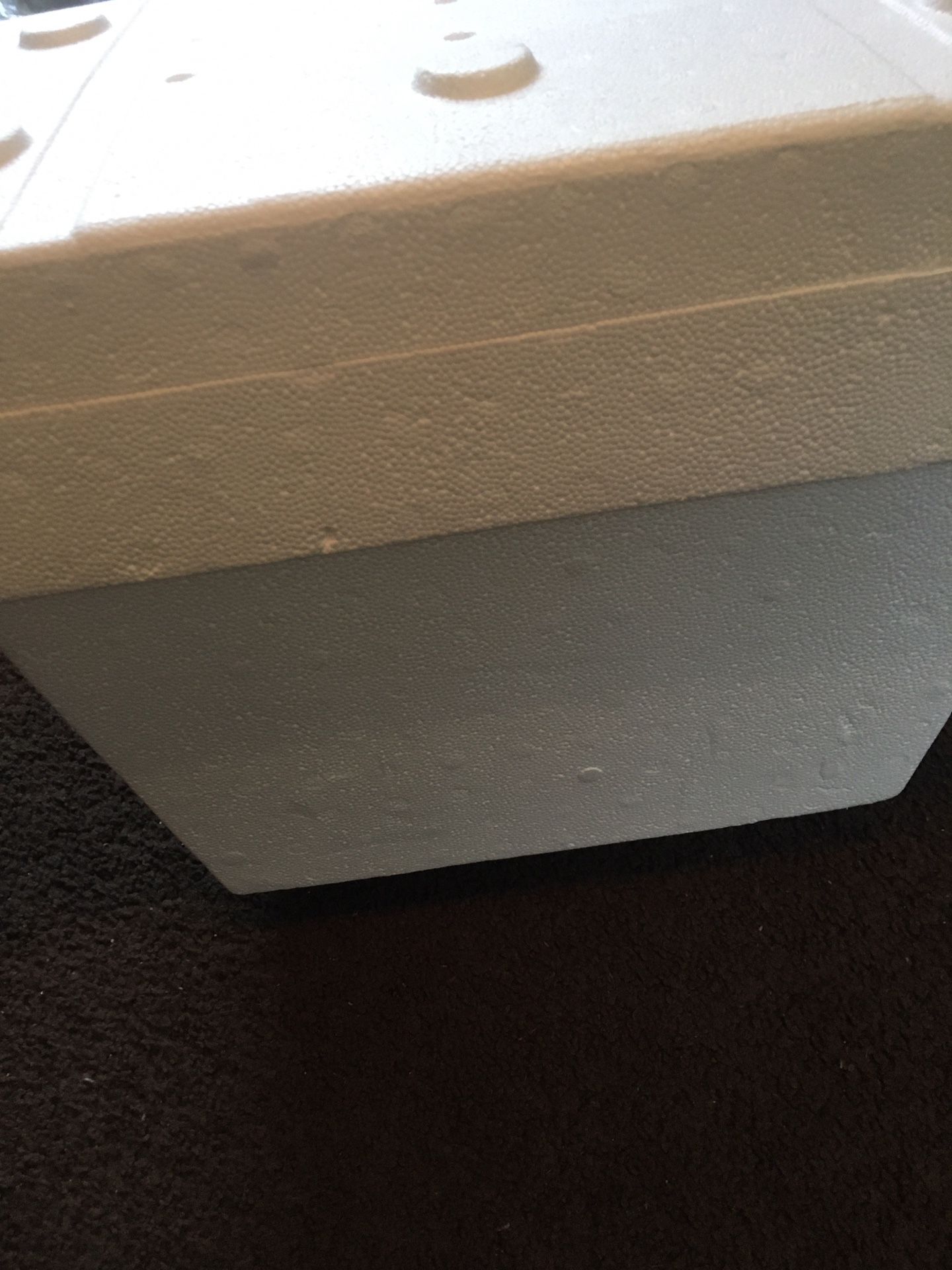 Styrofoam cooler