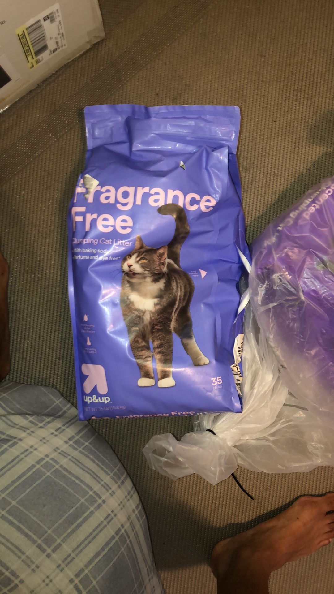 Cat Litter