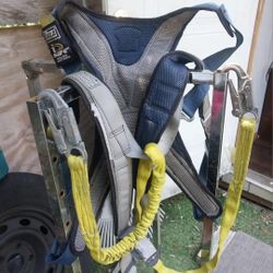 Harness    Size   Mediano