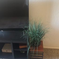 TCL SMART TV 55inch 