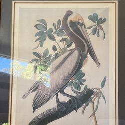 $5 Picture Framed