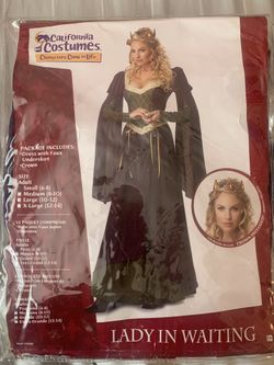 Lady in Waiting Costume