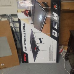 Ping Pong Table 