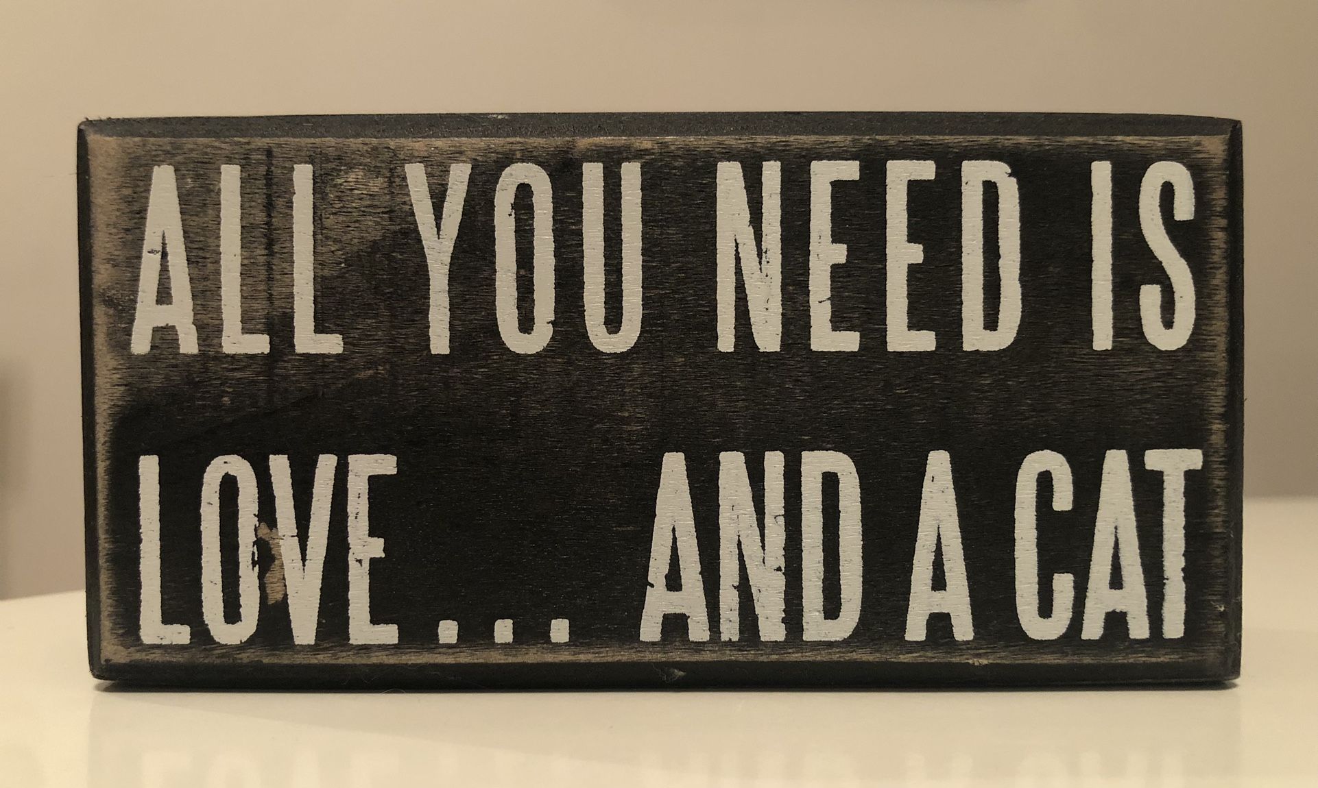 “All You Need Is Love And a Cat” Decor