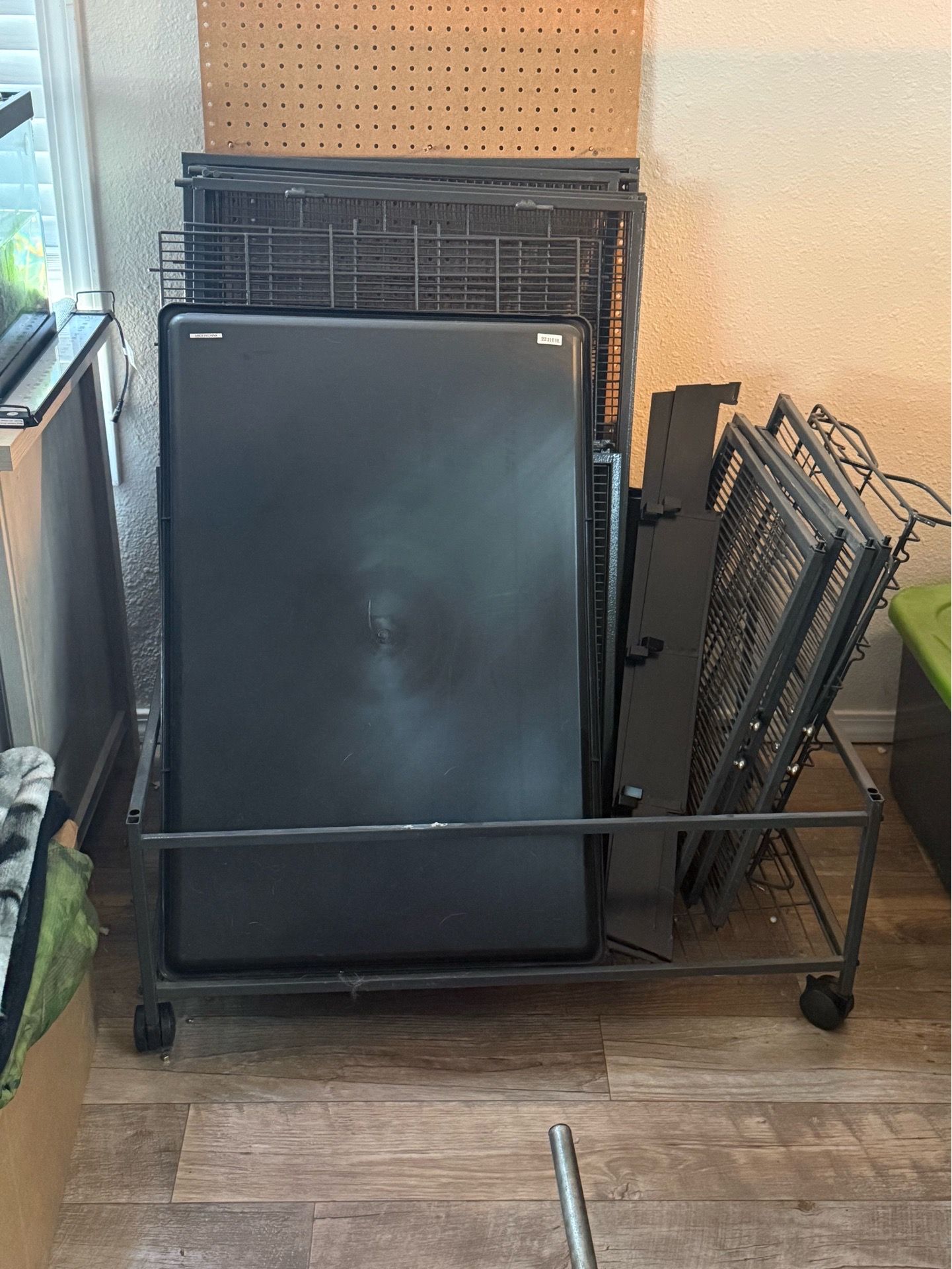 Ferret Nation Cage