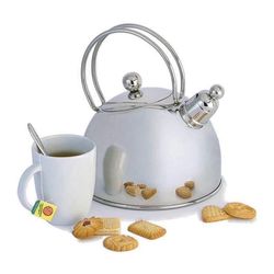Brand New Stainless Steel Whistling Tea Kettle