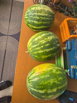 Watermelon